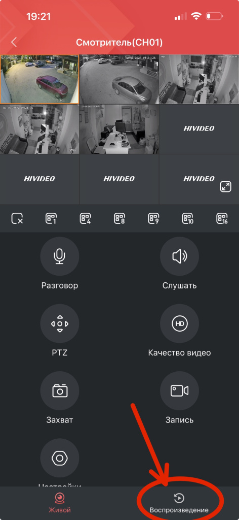 IMG_4004 2.jpg IMG_4004 2.jpg